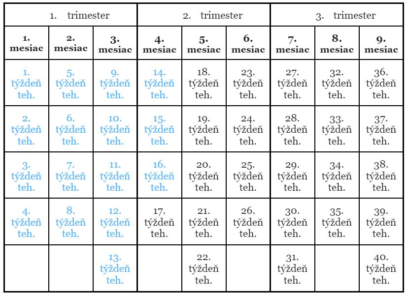 16. týždeň tehotenstva, mesiace a trimestre