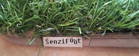 Senzomotorický,