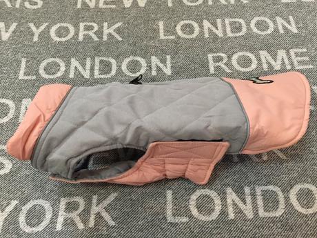 Bunda pre mensieho  psa s, 