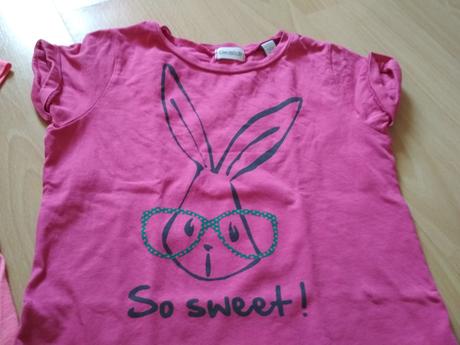 Tričká psík a zajko, 116