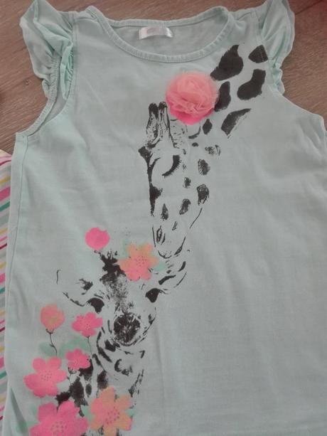 Tričká, terranova,110