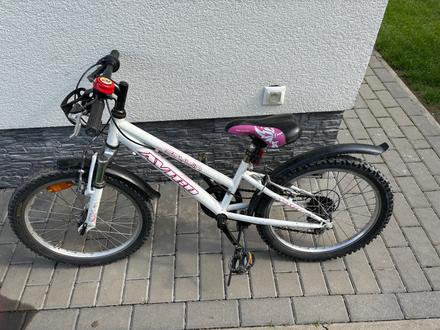 Bicykel, 20