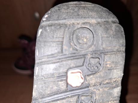 Snehule 22, reserved,22