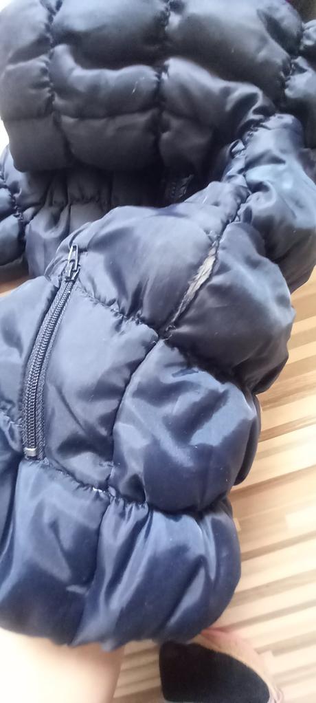 Bundička zimná, lupilu,86