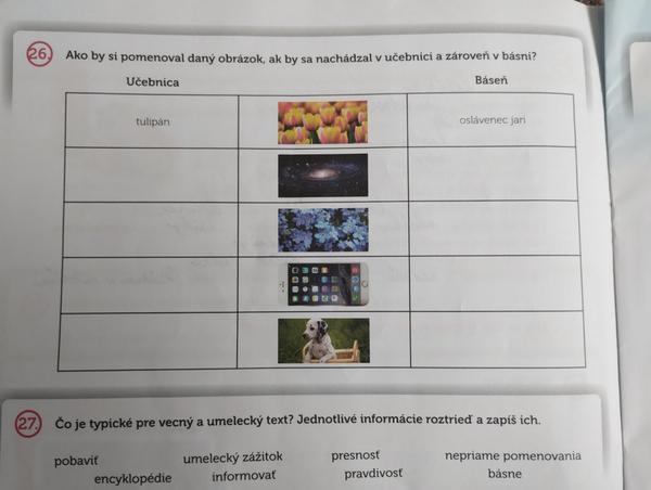 Pomôžeme s domácou úlohou zo slovenčiny?