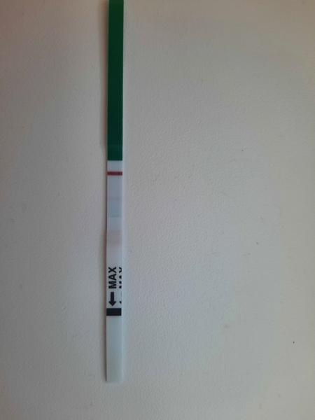 Čo si myslíte o tomto teste?