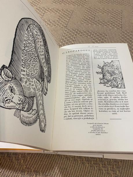 Krásna kniha o afrike safari pod kilimandžárom,