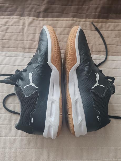 Halovky puma, puma,35