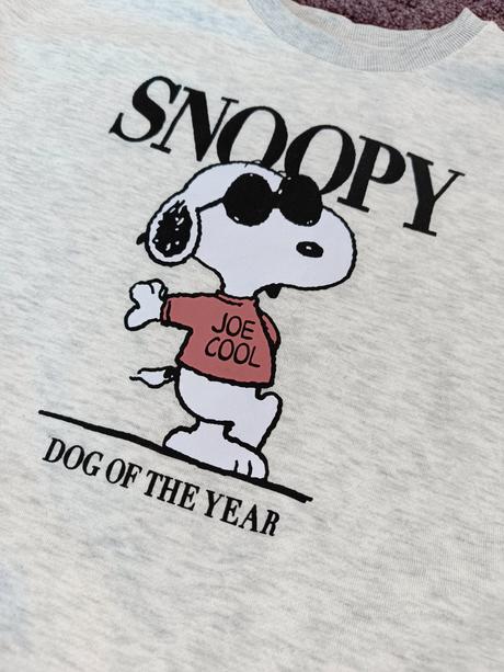 Mikina snoopy, terranova,s