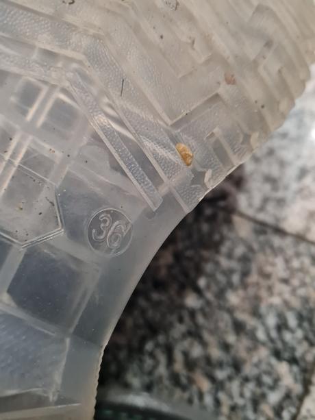 Prechodné topánky, reserved,36