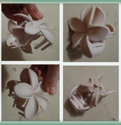 Velky stipec plumeria,
