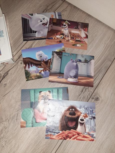 Drevené kocky tajný život maznačikov, 