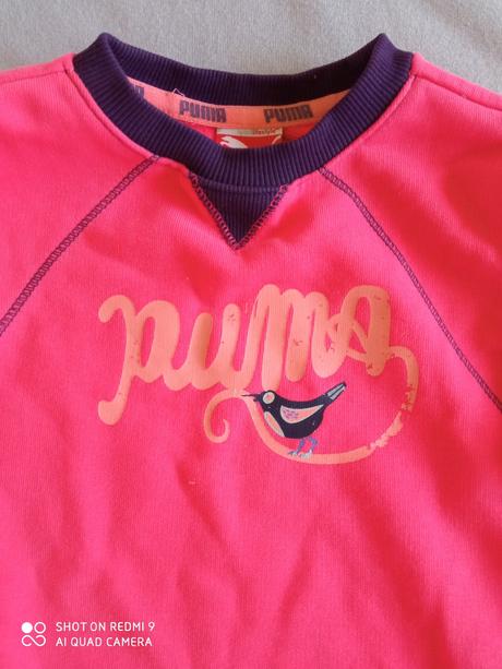 Krásna súprava puma, puma,92