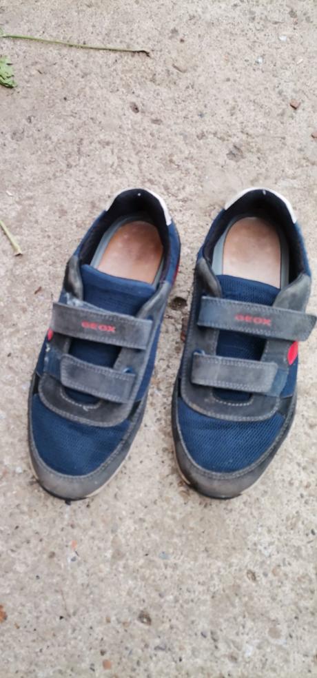 Tenisky geox, cena s obyč. poštovným, geox,39