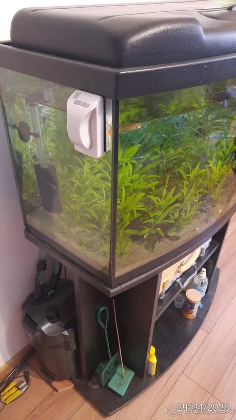 Akvárium s filtráciou v dobrom stave, 
