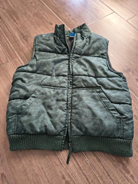 Vesta 134, adams,134