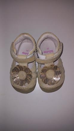 D.d.step, d.d.step,20