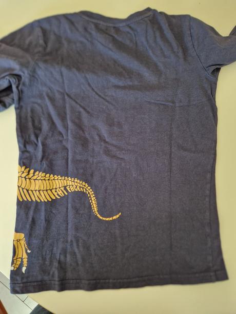 Tričko s t-rexom, 146