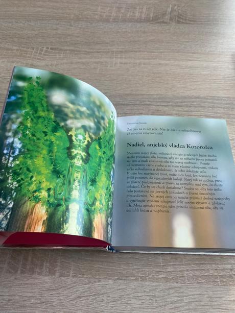 Anjel na každý deň angela mcgerr,