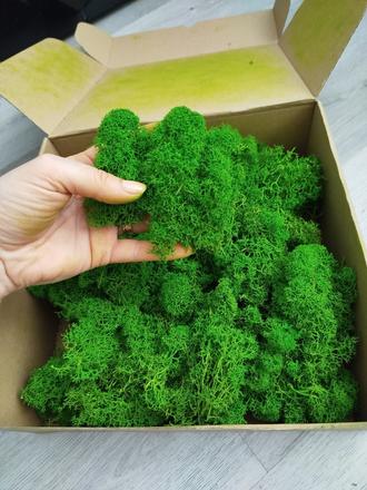 Stabilizovaný mach /lišajník 250g, 