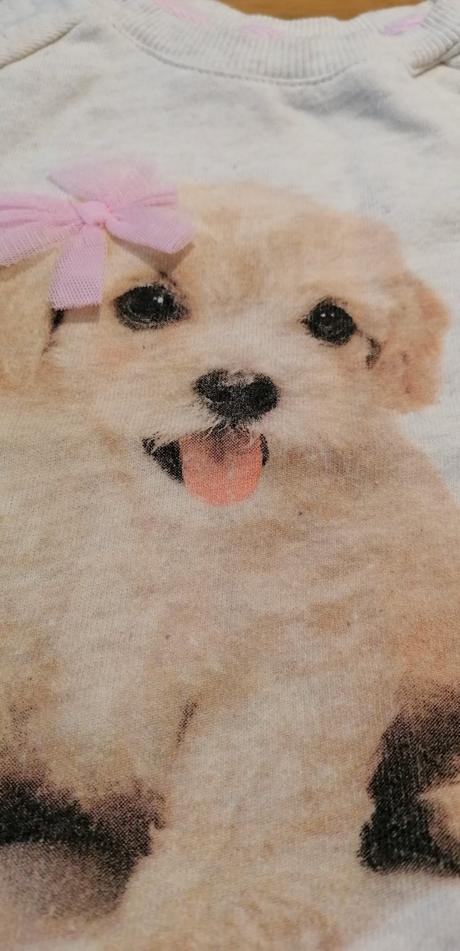 Mikina so psíkom hm, h&m,80