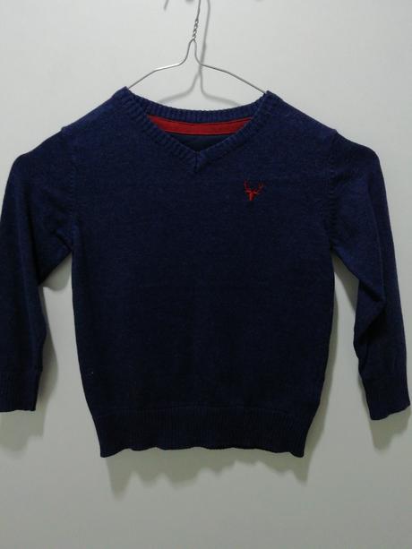 Modrý sveter, st. bernard,98