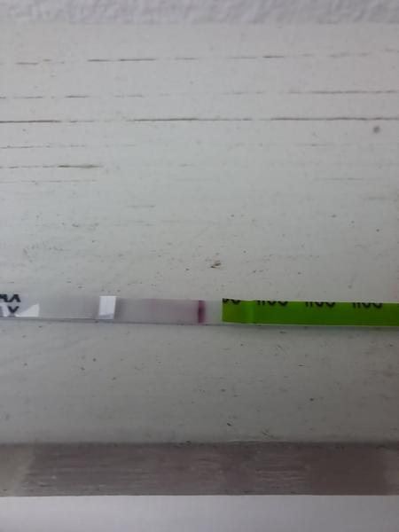 Myslíte, že menštruácia už nepríde?