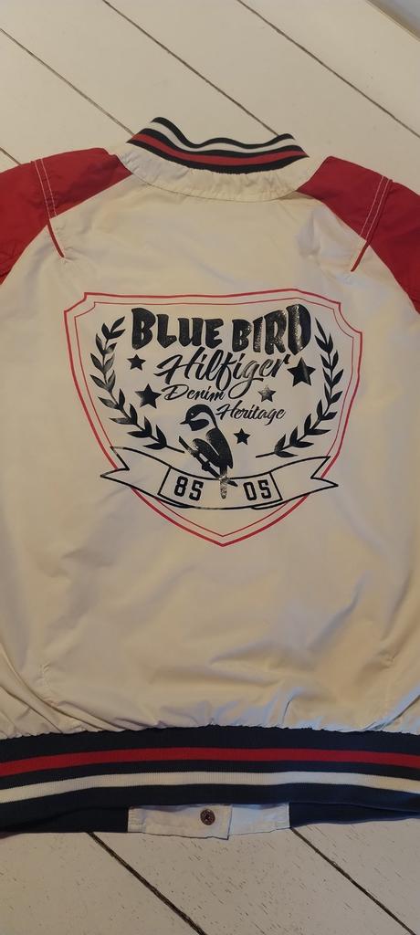 Tommy hilfiger bunda, m, tommy hilfiger,m