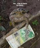 😝 Ale vtedy sa to za ten peniaz realne aj dalo..
