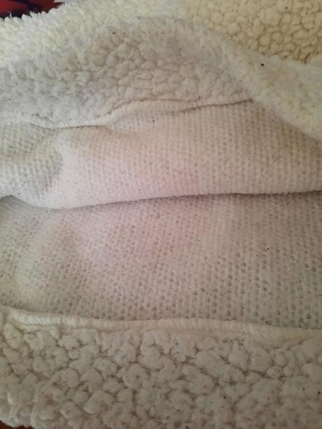 Dievčenská mikina s kapucňou, pepco,134