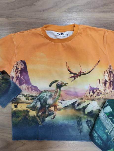 Mikiny s dinosaury molo, 116