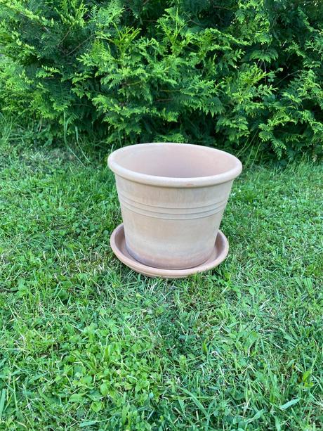 Terakotový kvetináč,