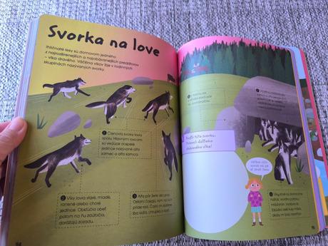 Spoznaj úžasný svet divých zvierat,