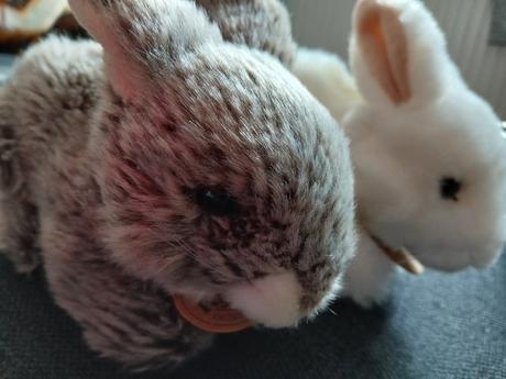 Plysovy zajacikovia rappa, 