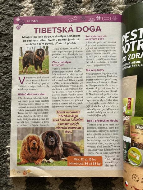 425 skvělých tipů, jak si vybrat nejlepšího pejska, 