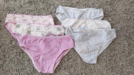 Nohavicky, palomino,110