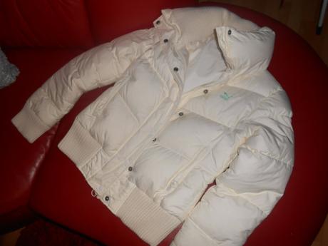 Bundička puma, puma,s