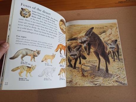 My best book of wolves and wild dogs, 