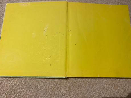 Stará retro kniha chlapčekovo leto,