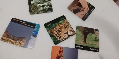 4 sady multifunkčných karticiek - aj, matematika,, 