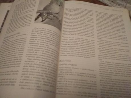 Príručka pre chovateľov vtáctva, 