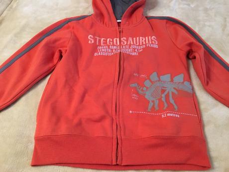 Dinosaurus mikina, 116