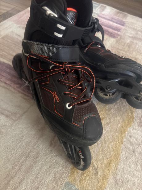 Koloeskove korcule oxelo, 32