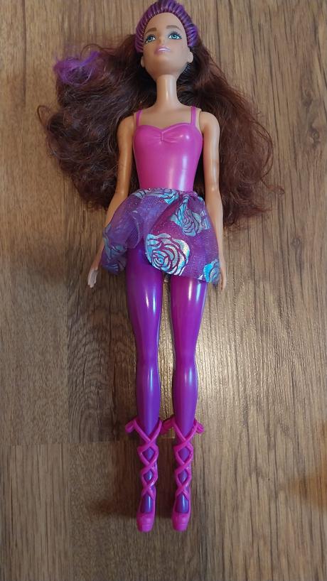 Barbie karavan a zvieraci salon, 