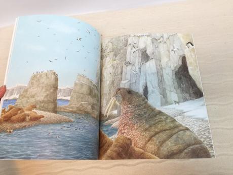 Nick dowson north  nsp21, 