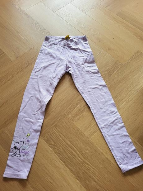 Zateplene leginy, 134