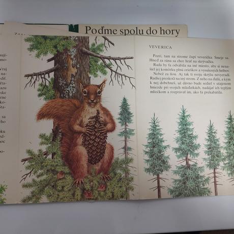 Poďme spolu do hory, 