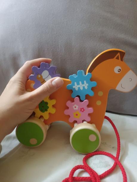 Tahaci konik dreveny, 