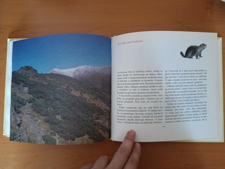 Marta šurinová - kde bývajú zvieratá (1988), 