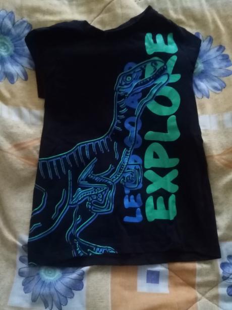 Chalanske tričká, aigle,104